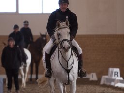 2017 Ponygames